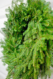 Plain Wreath