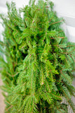Plain Wreath