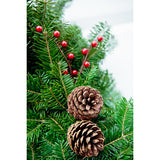 Plaid Bow Wreath