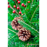 Red Cardinal Wreath