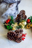Decoration Kit